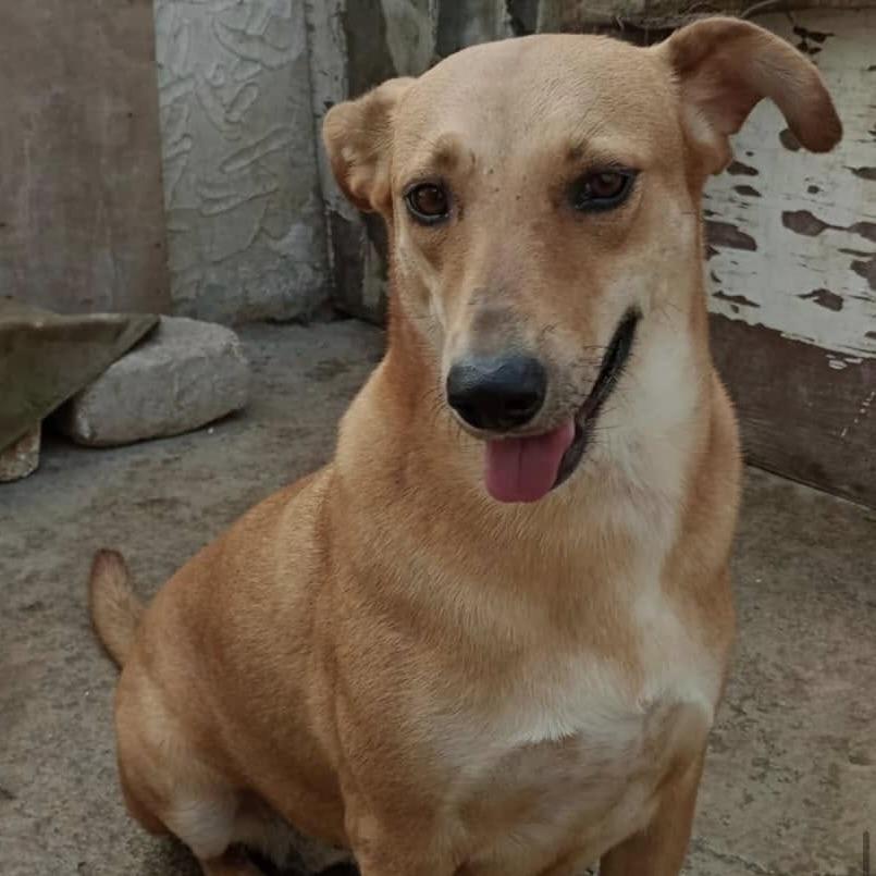 Mia (20240517-08) — thumbnail 5