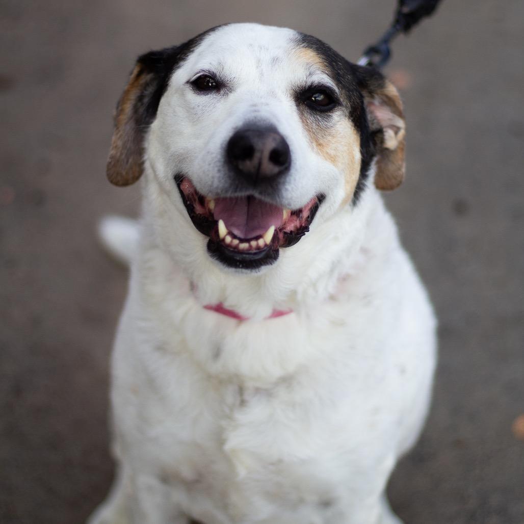 Willett 21406 — thumbnail 3