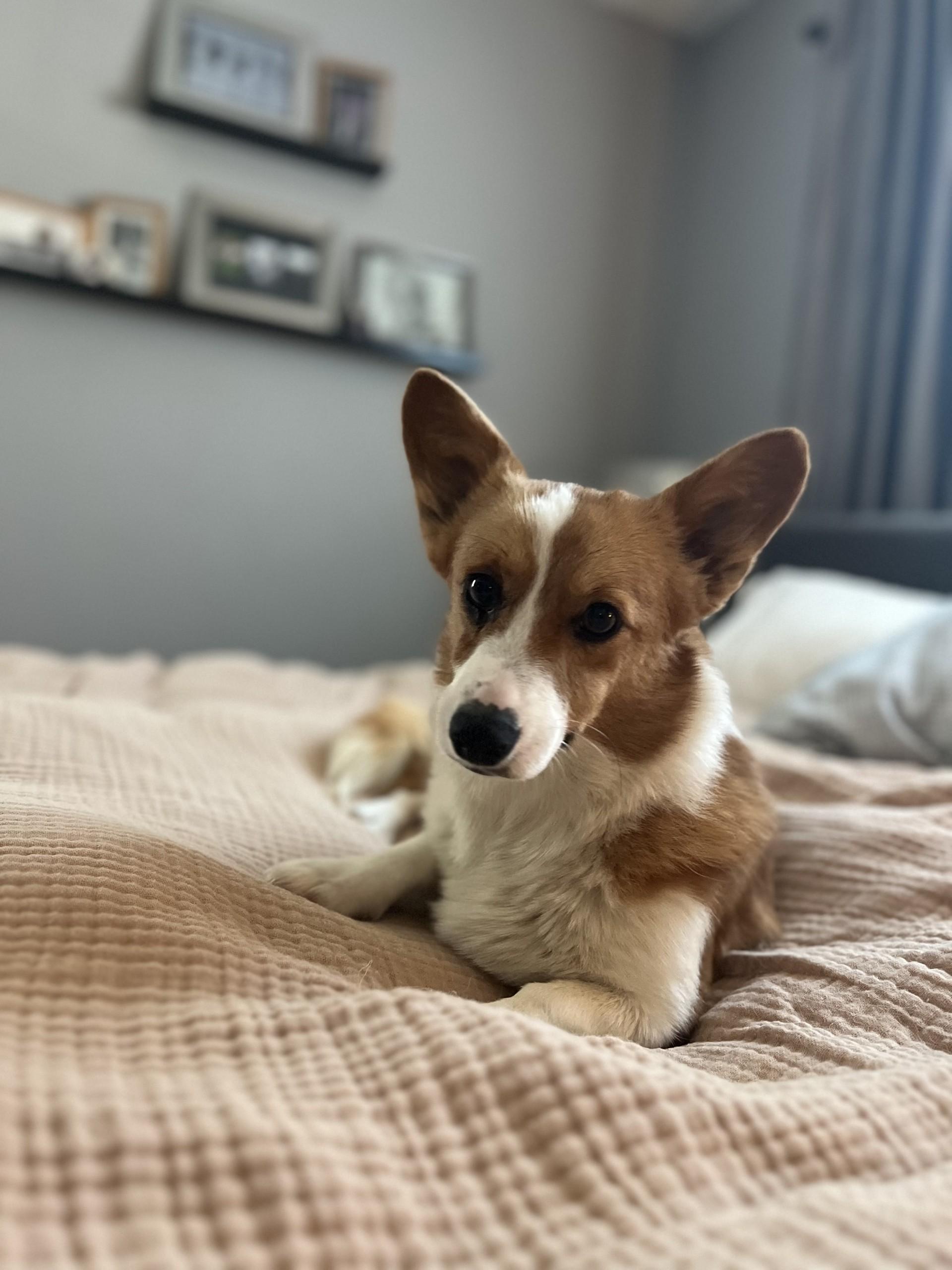 Natashai thumbnail 2