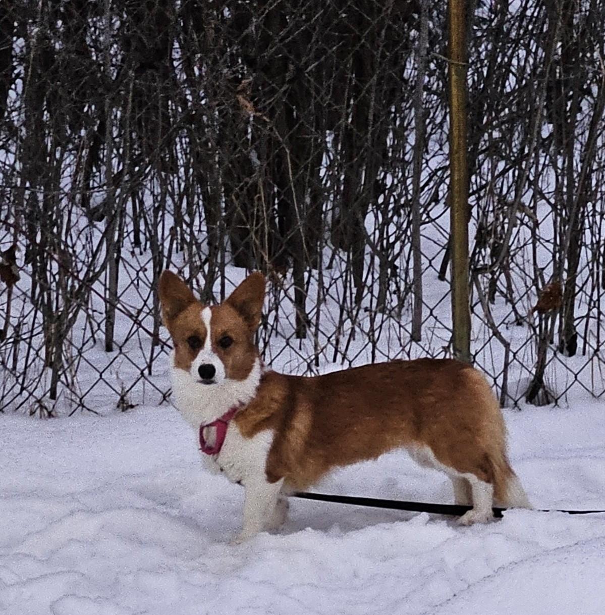 Natashai thumbnail 5