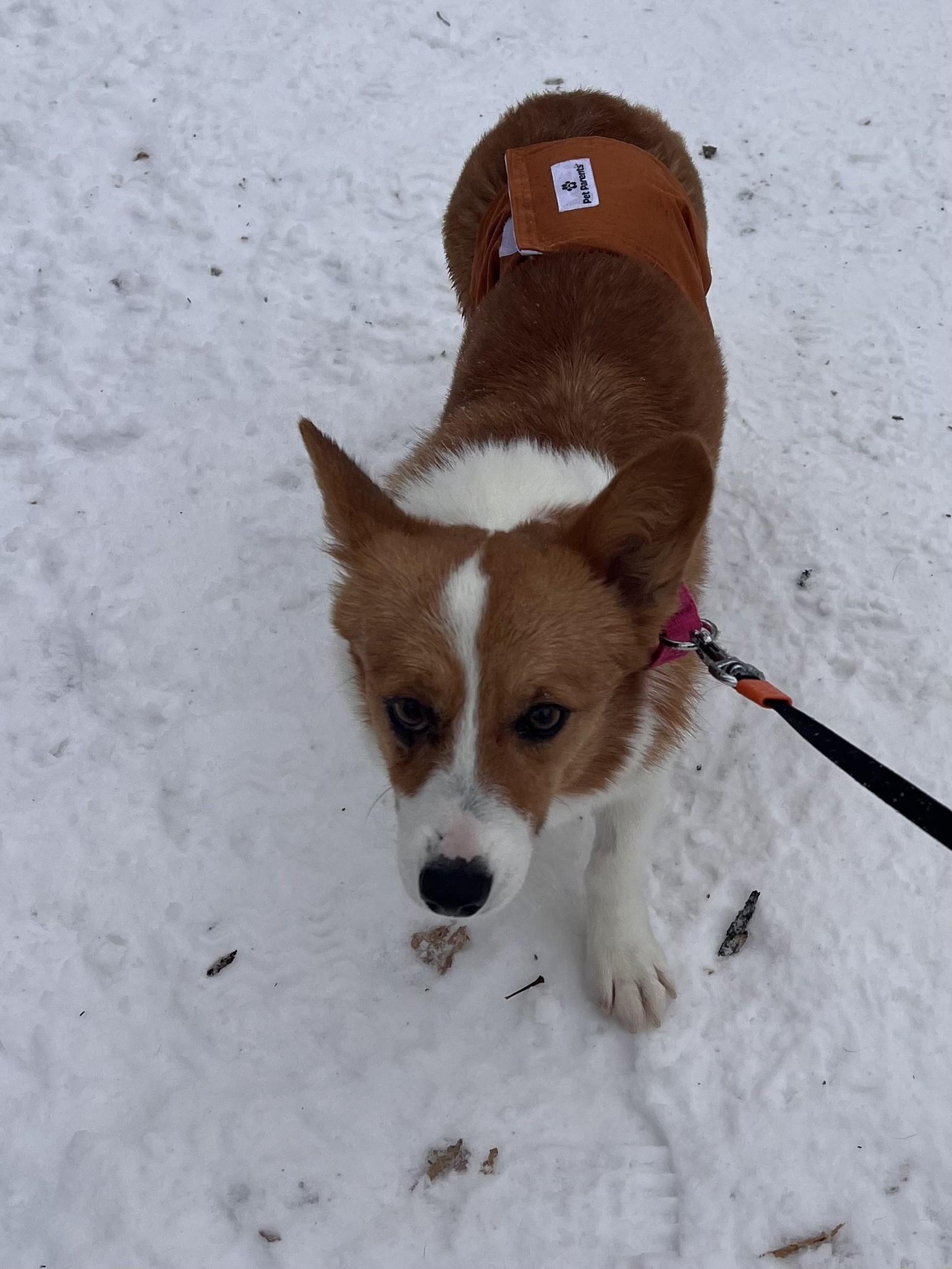 Natashai thumbnail 6