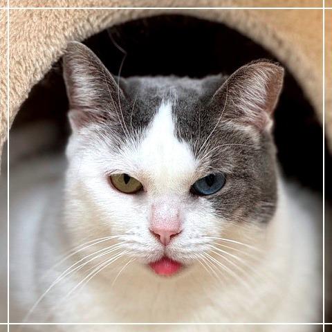 Patches — thumbnail 2