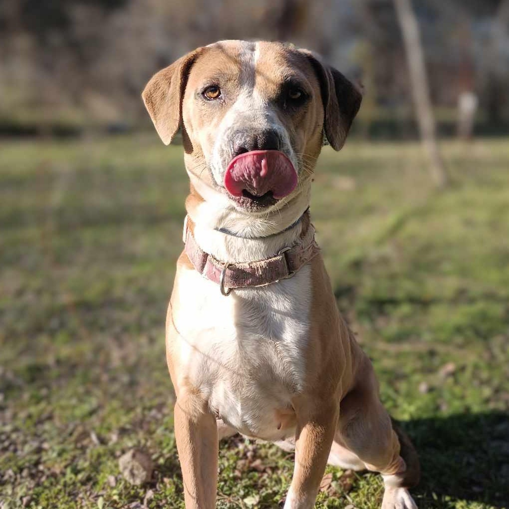 Dancer — thumbnail 3