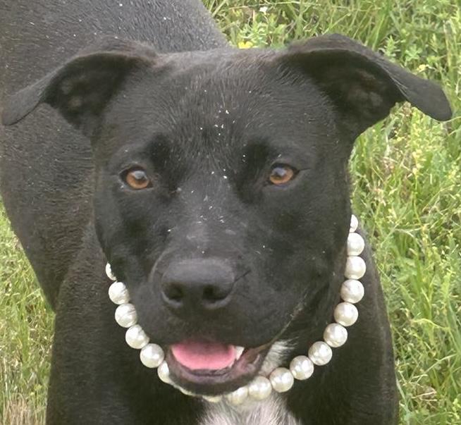 Frida Khalo