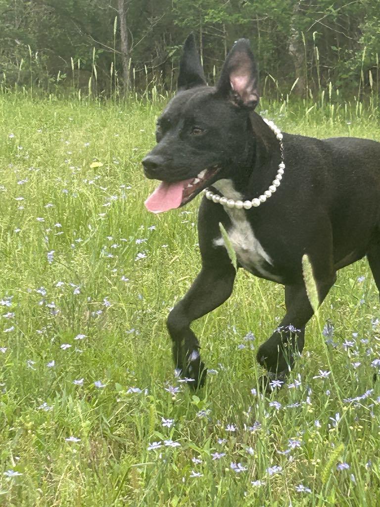 Frida Khalo