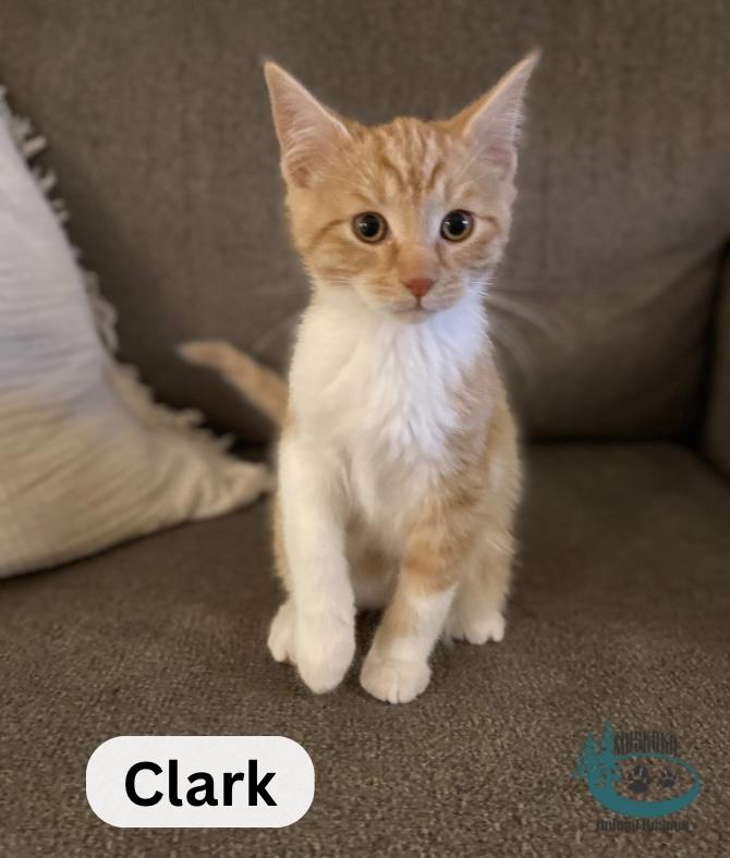 Clark!