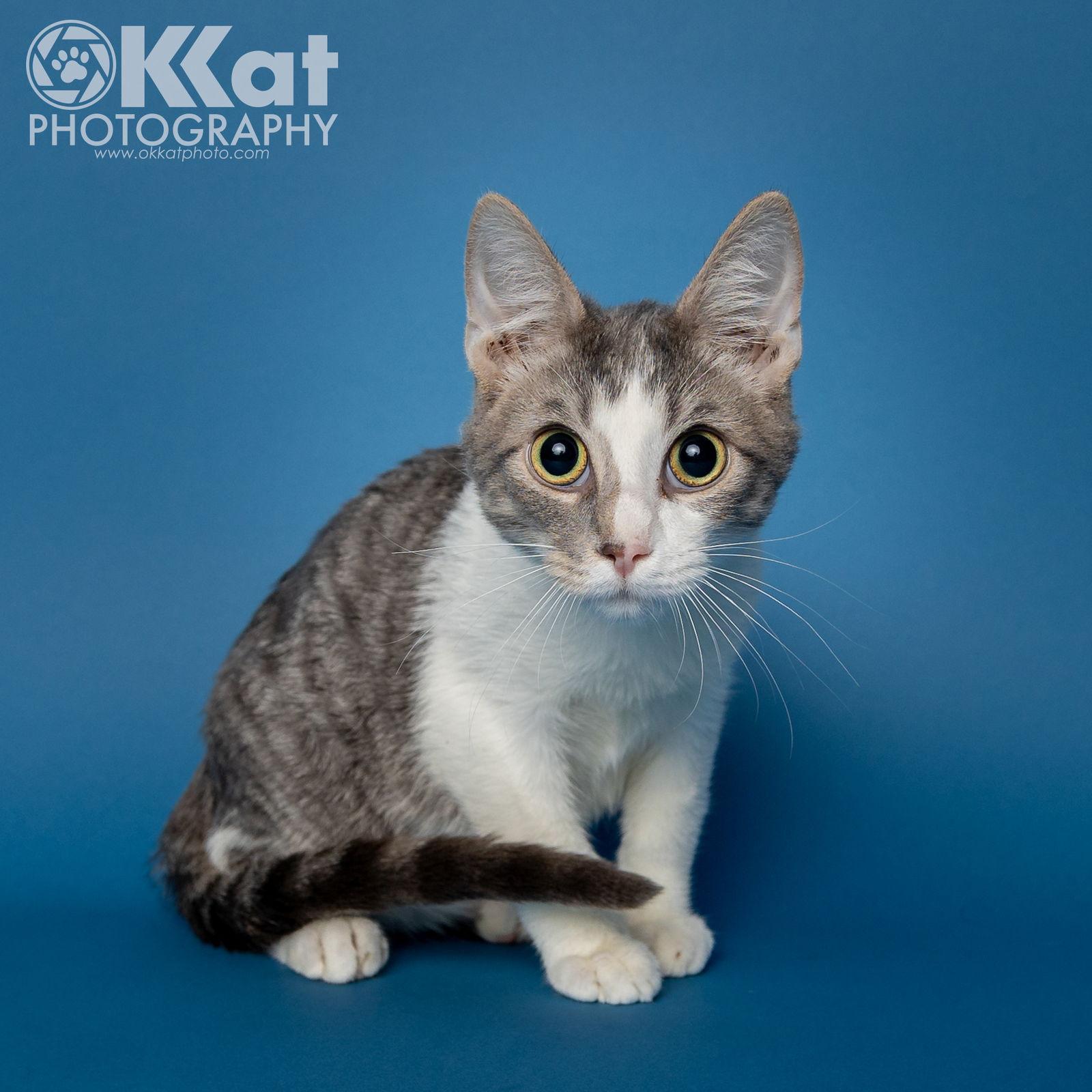 Groot — thumbnail 2