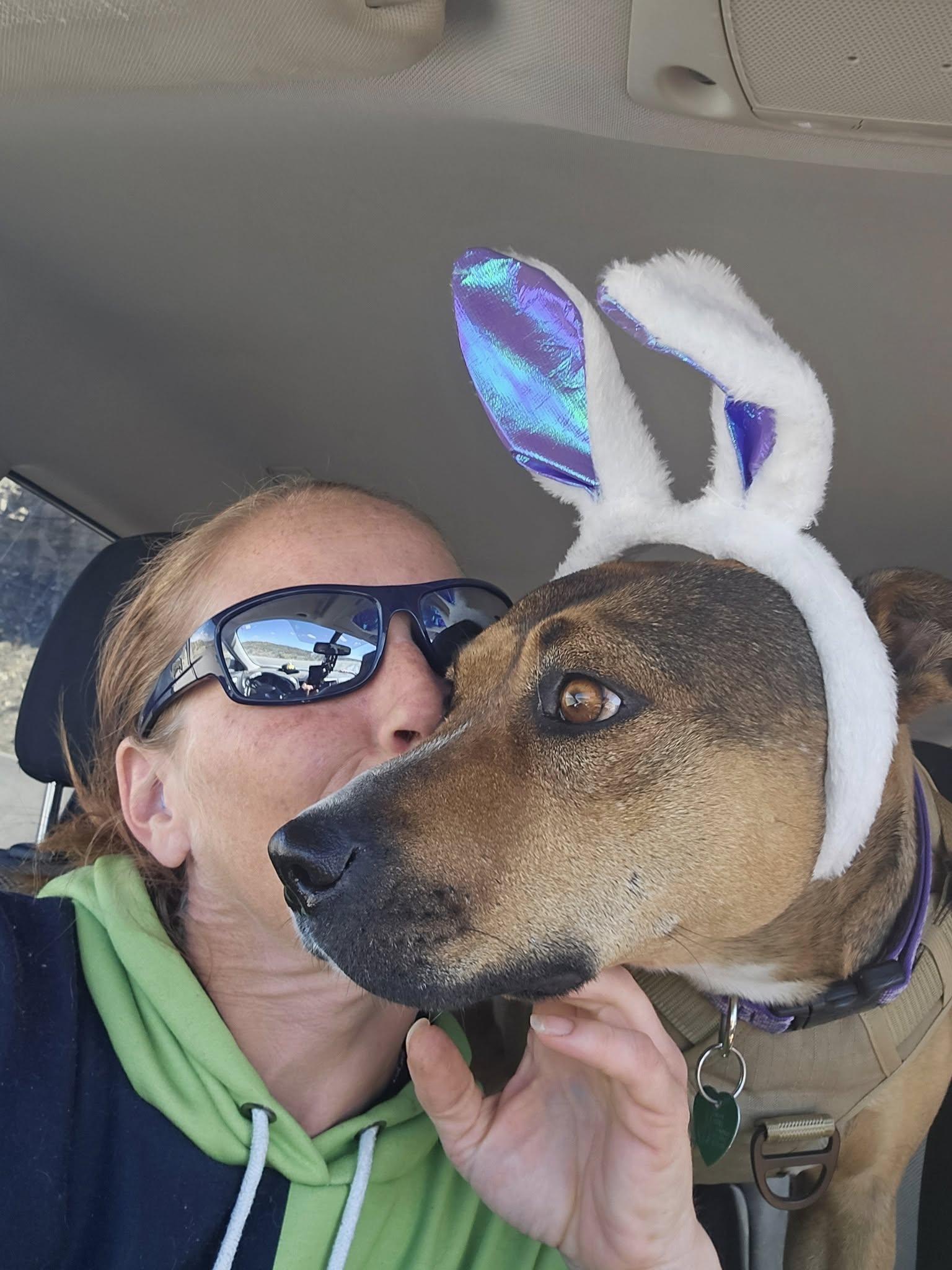 Molly, an adoptable American Staffordshire Terrier in Nucla, CO, 81424 | Photo Image 2