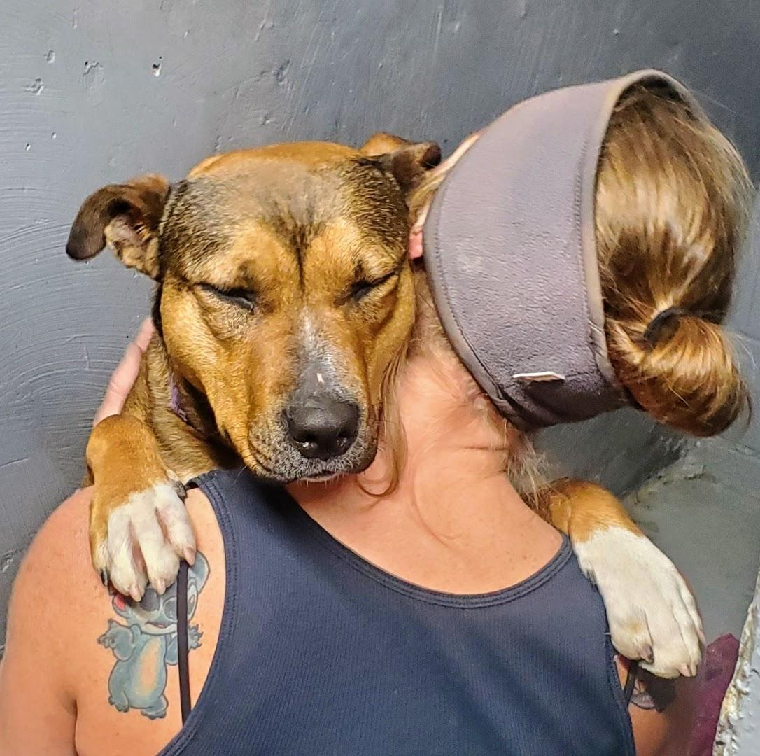 Enlarge Molly, a Adoptable mixed breed in Nucla, CO image 5/5