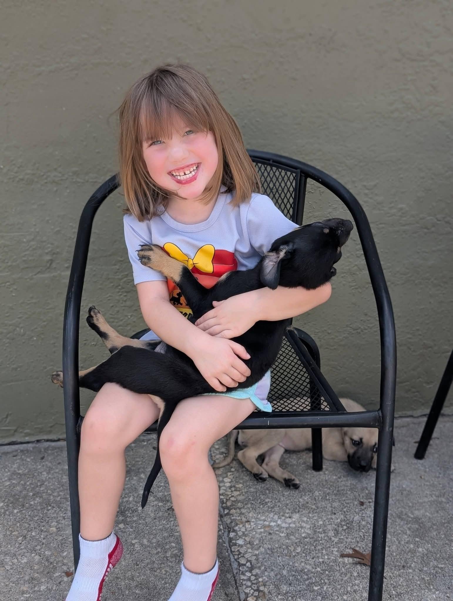 Enlarge Tommy, a ADOPTABLE mixed breed in Weeki Wachee, FL image 2/6