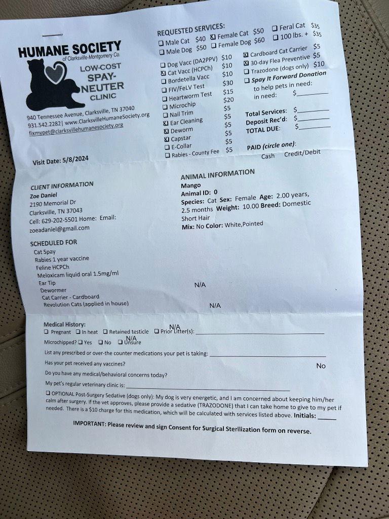 Mango — thumbnail 2