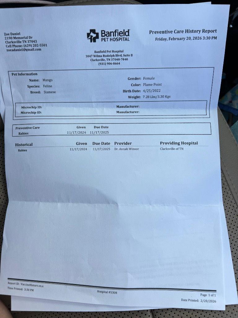 Mango — thumbnail 3