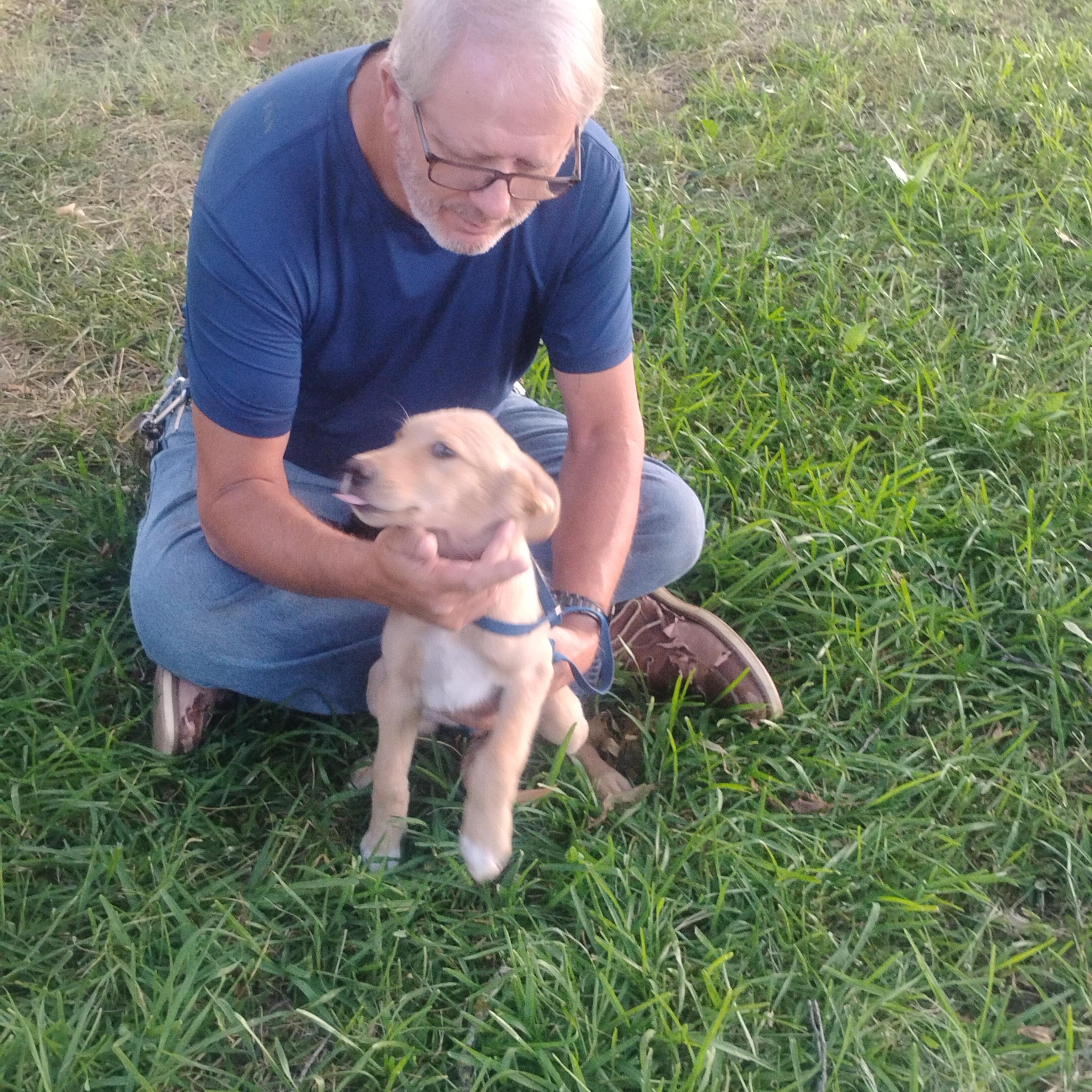 Blondie, an adopted mixed breed in Sulphur, OK image 6/6