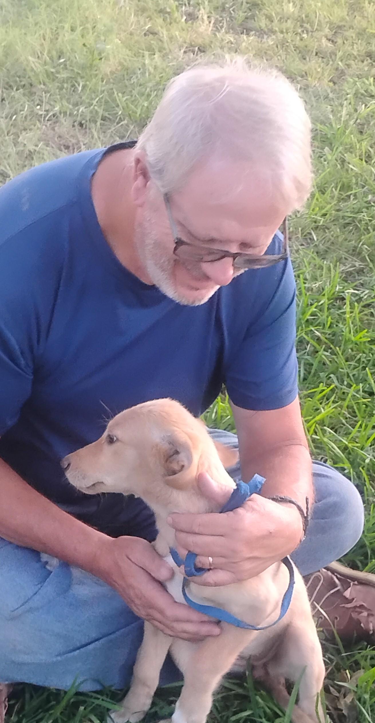 Blondie, an adopted mixed breed in Sulphur, OK image 4/6