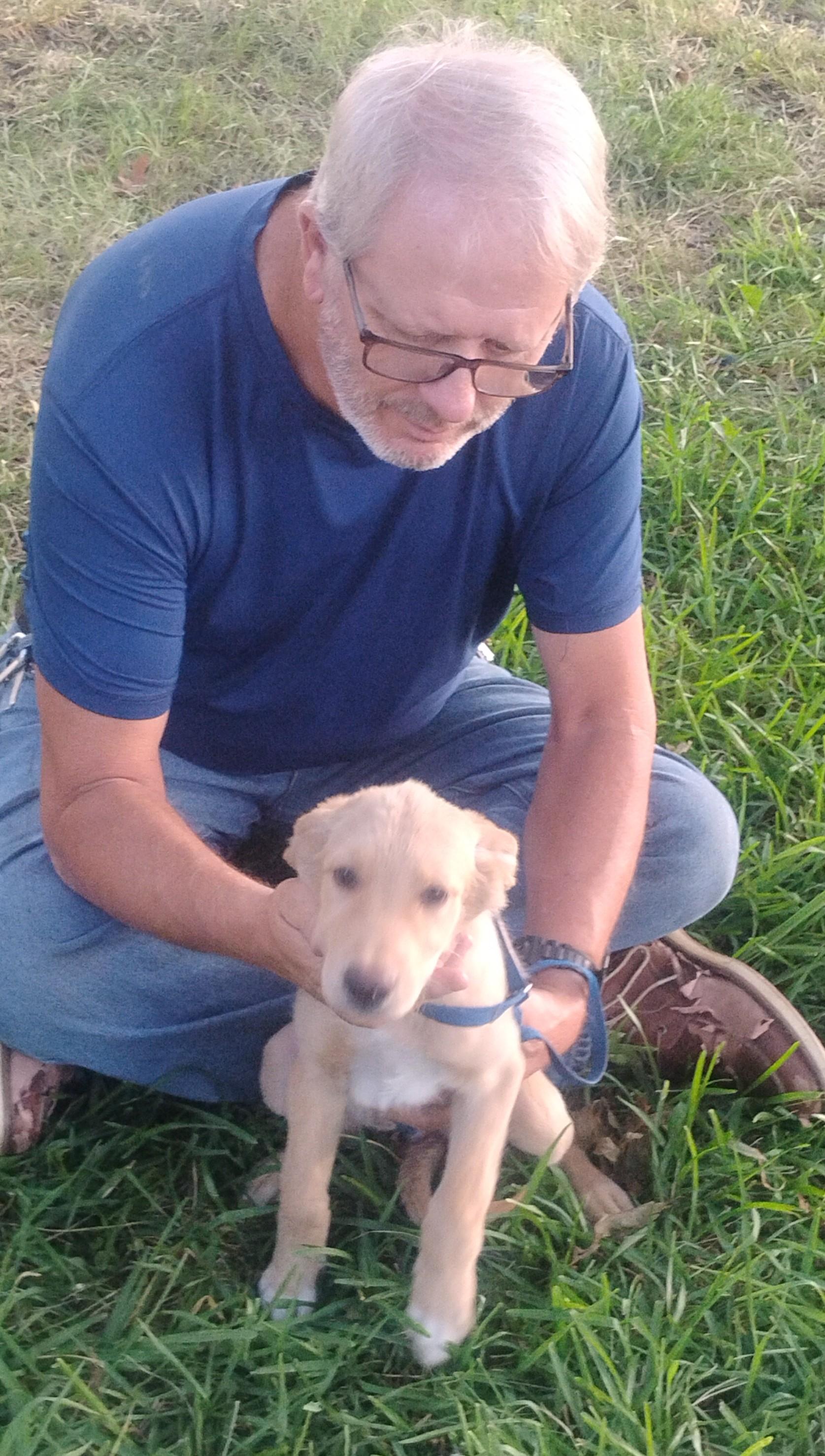 Blondie, an adopted mixed breed in Sulphur, OK image 3/6