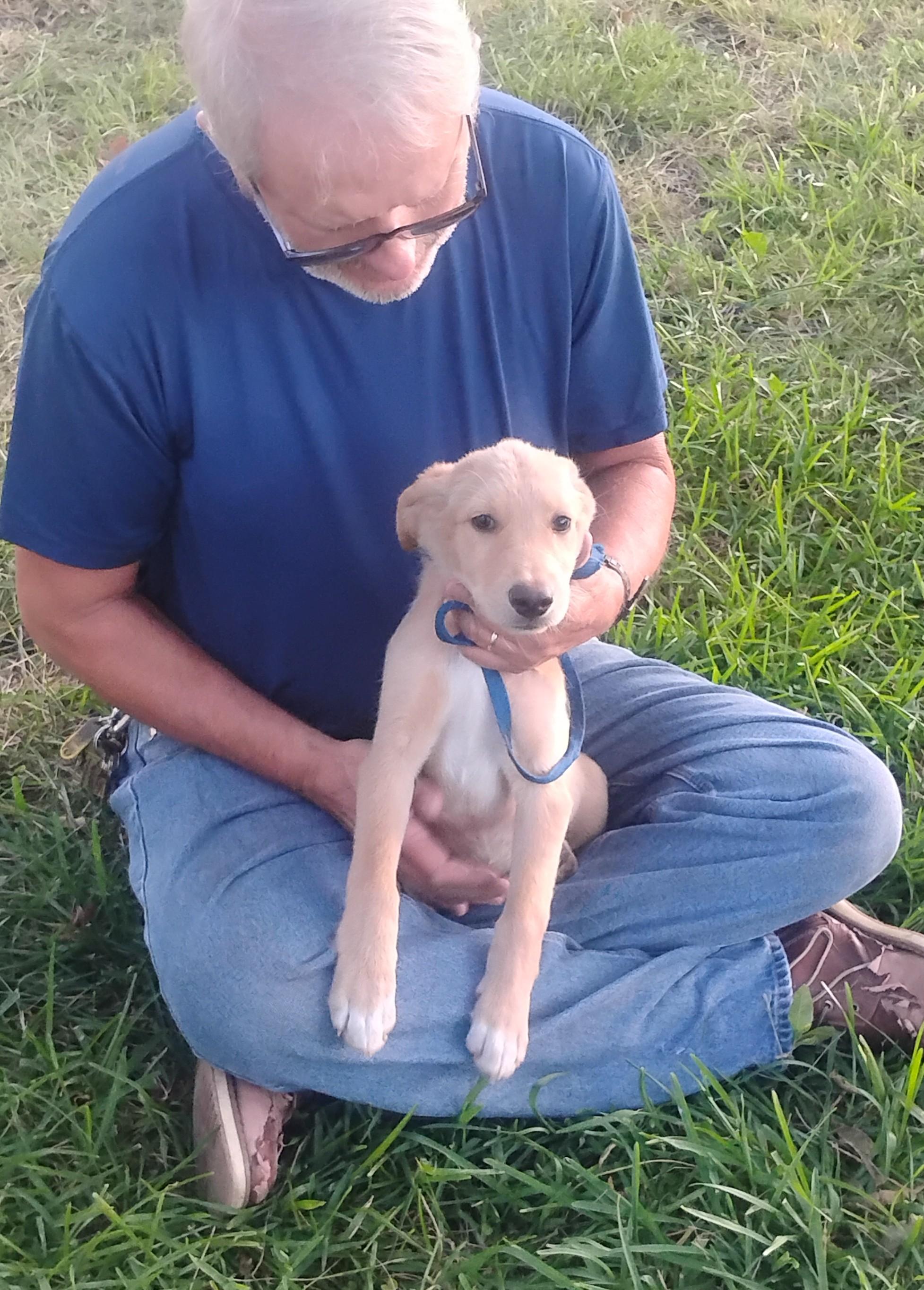Blondie, an adopted mixed breed in Sulphur, OK image 5/6