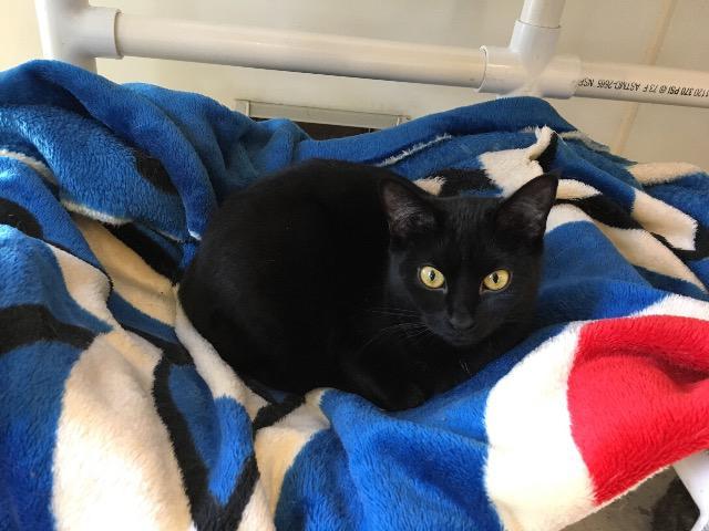 Melanie — thumbnail 2