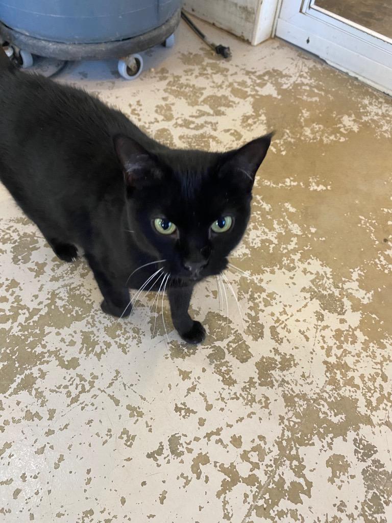 Melanie — thumbnail 3