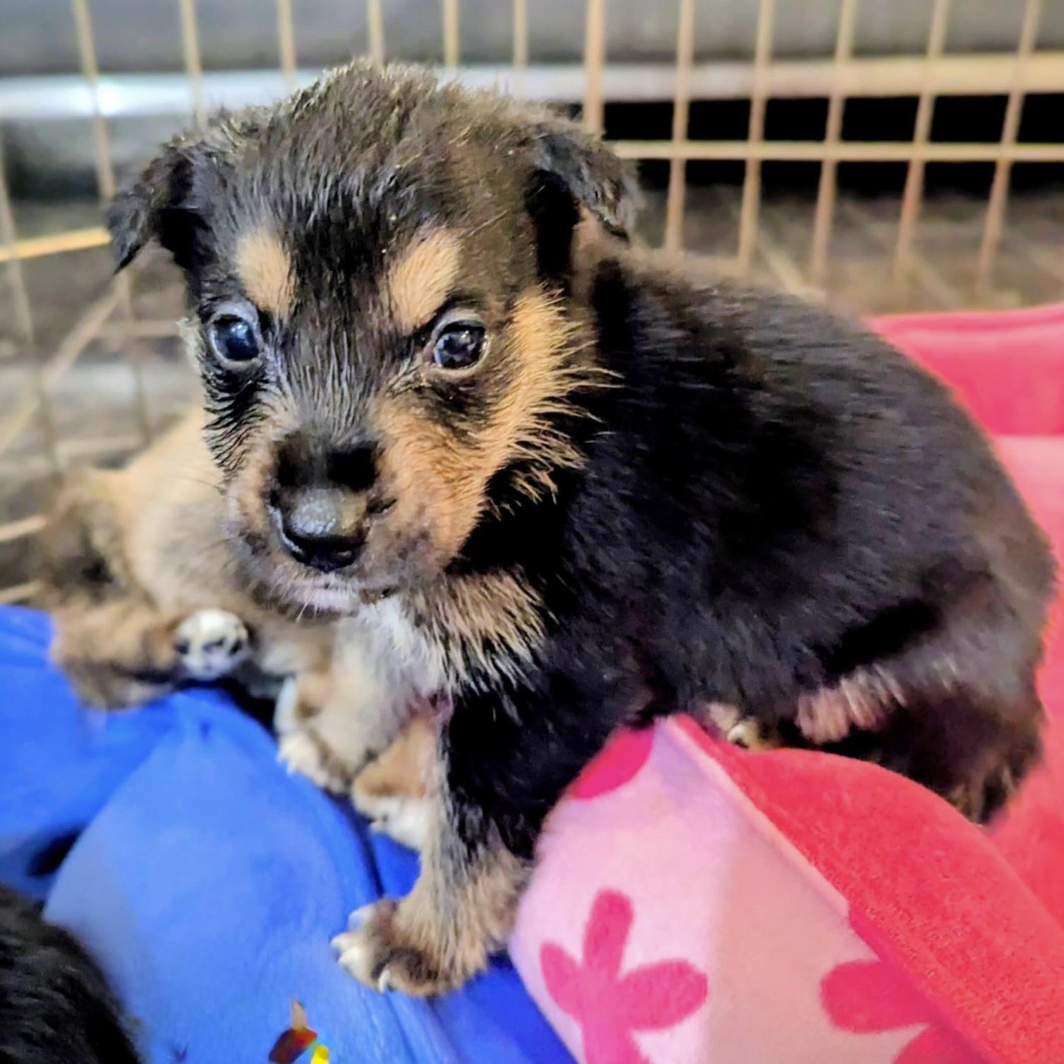 Sprite (20251022-04)