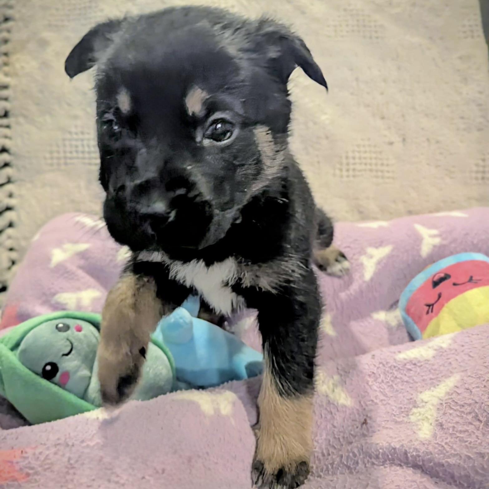 Sprite (20251022-04)