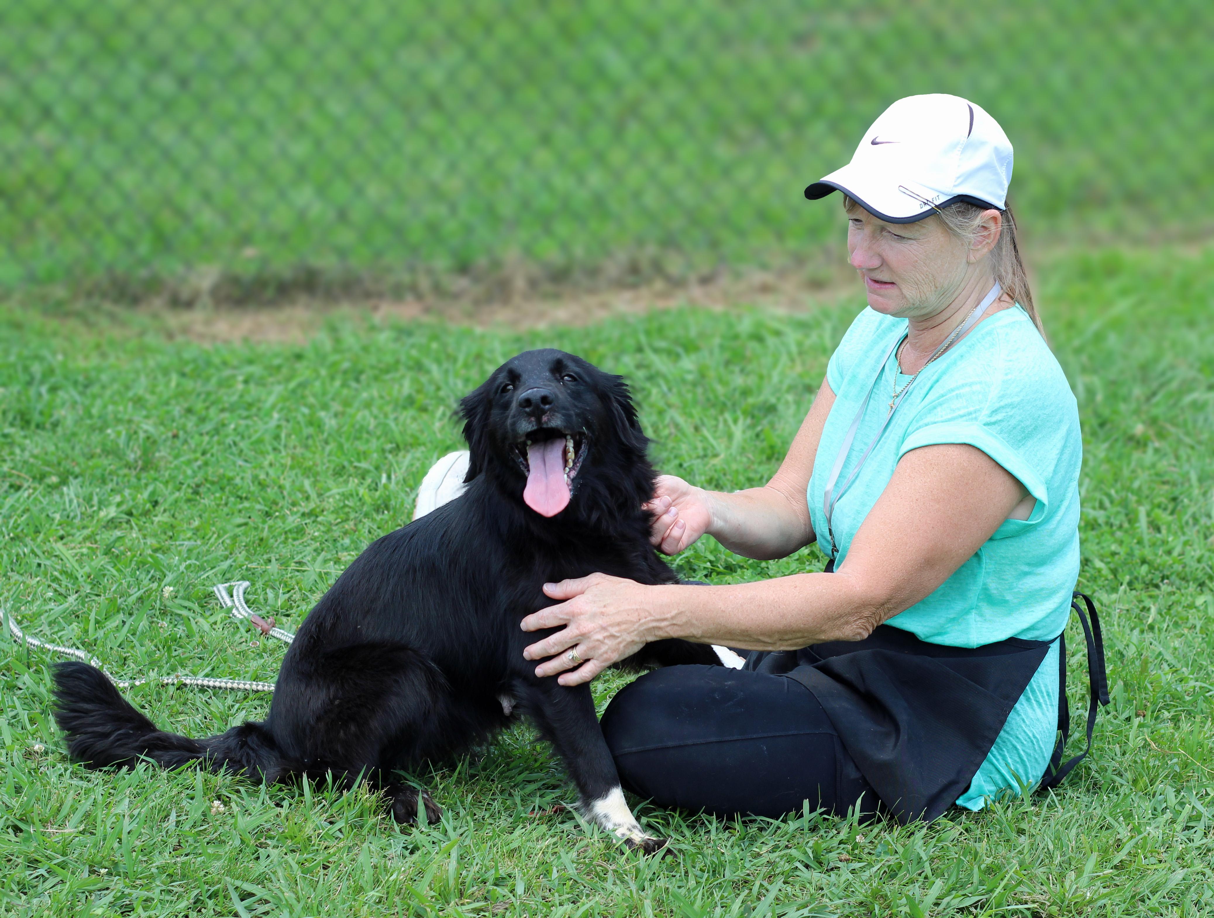 Enlarge Gilly, a ADOPTABLE mixed breed in Lebanon, TN image 3/6