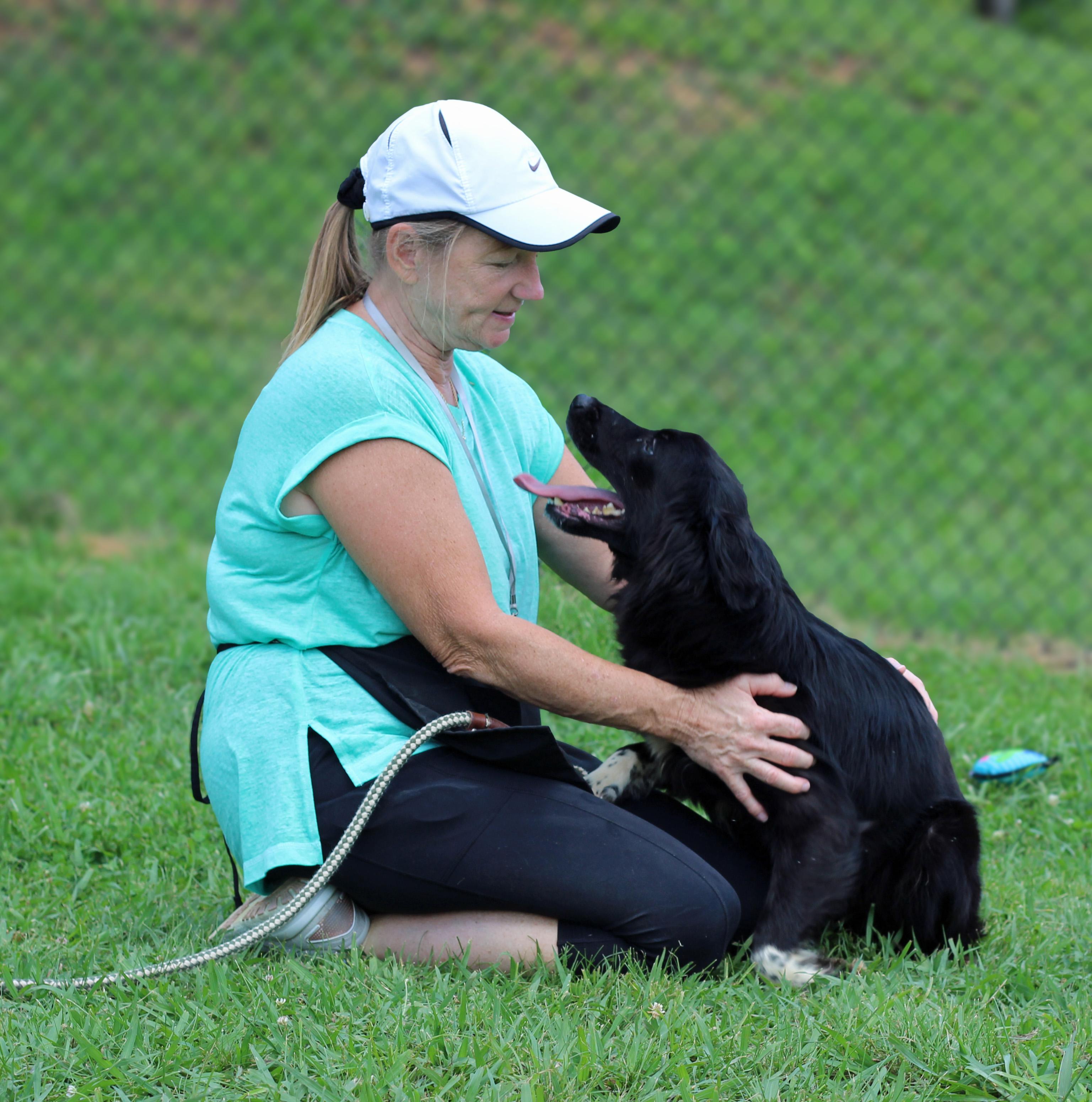 Enlarge Gilly, a ADOPTABLE mixed breed in Lebanon, TN image 6/6