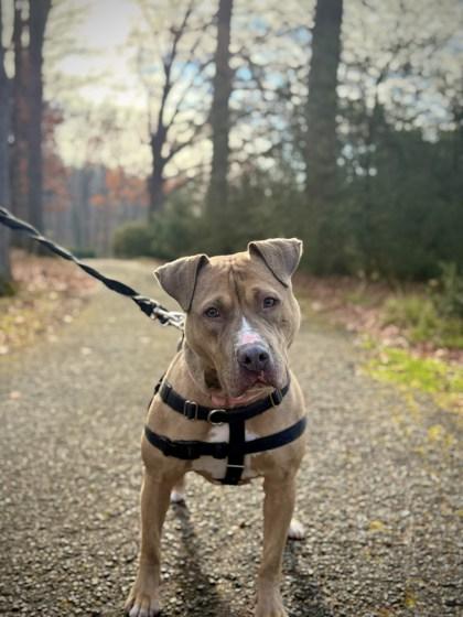 Irma — thumbnail 2