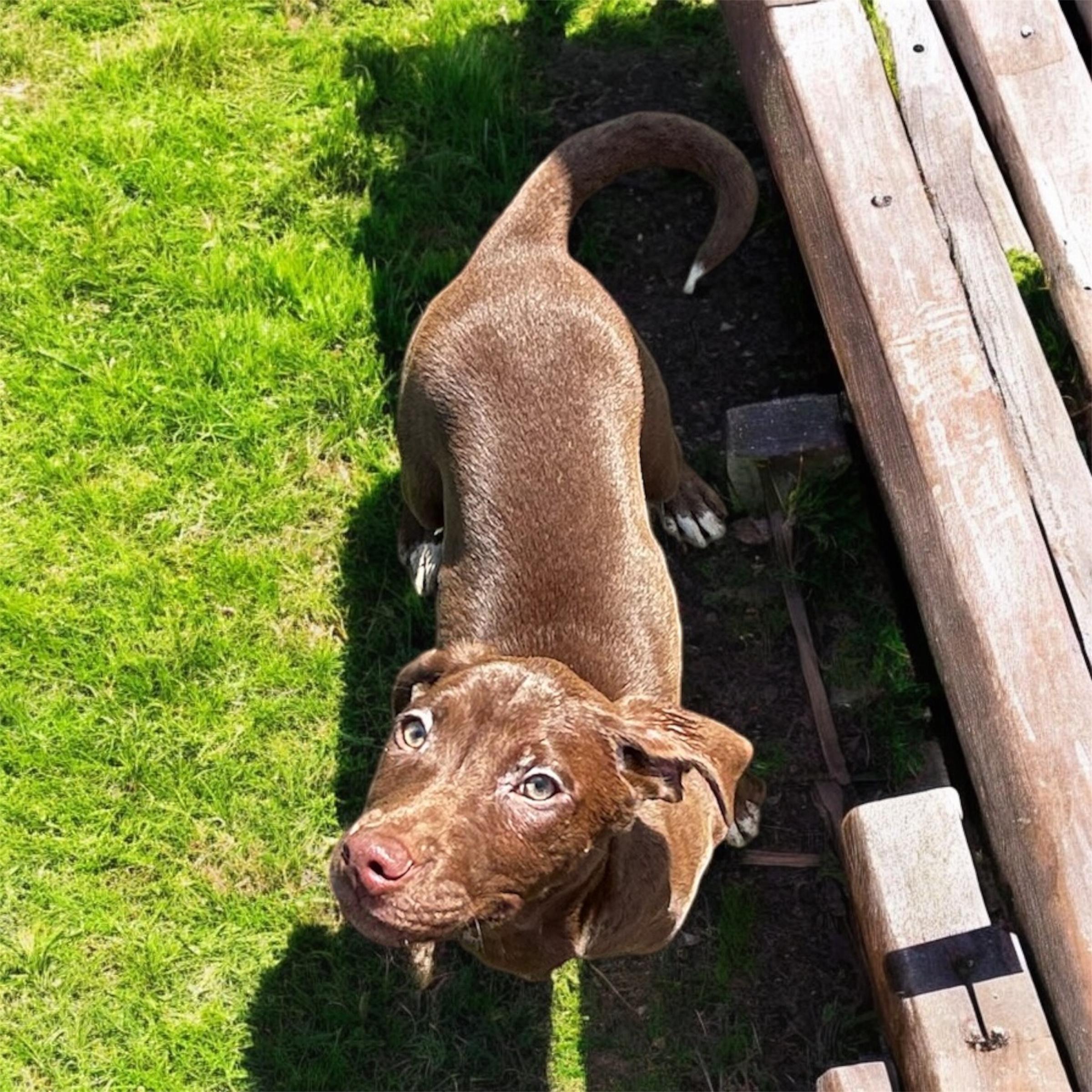 Kiara, Baby Female unknown