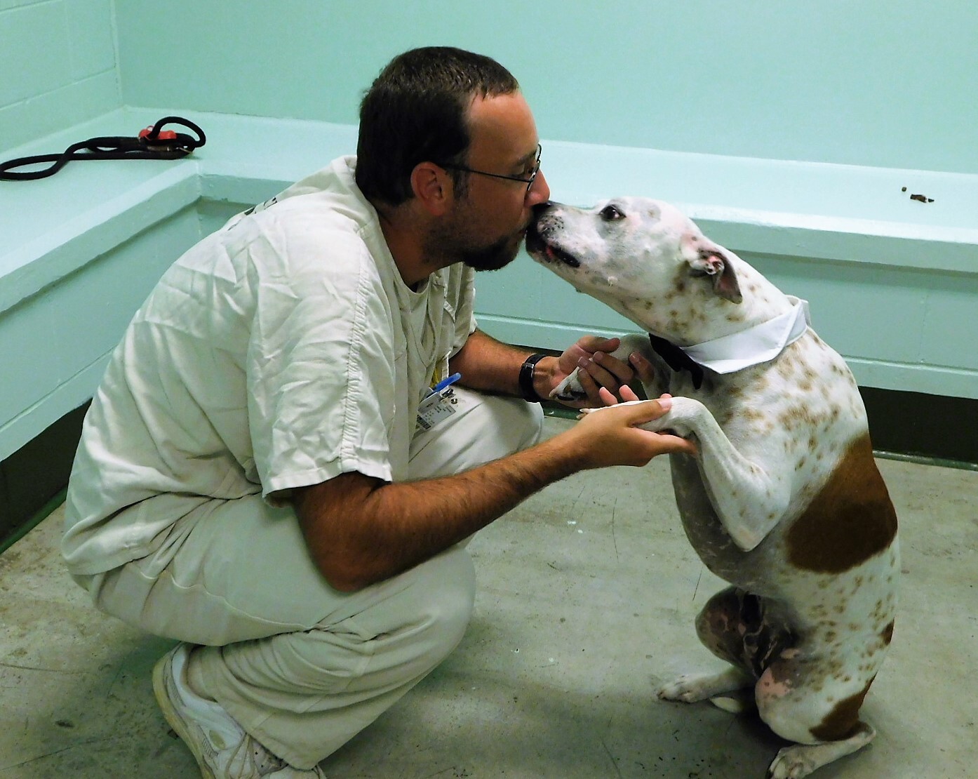 Rico, a Adoptable mixed breed in Milledgeville, GA image 6/6