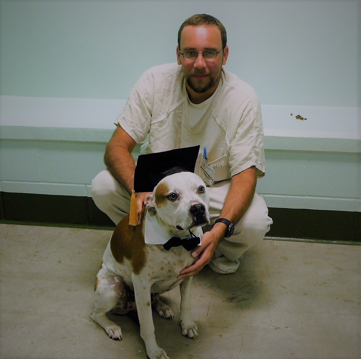 Rico, an adoptable Pointer, Pit Bull Terrier in Milledgeville, GA, 31061 | Photo Image 2