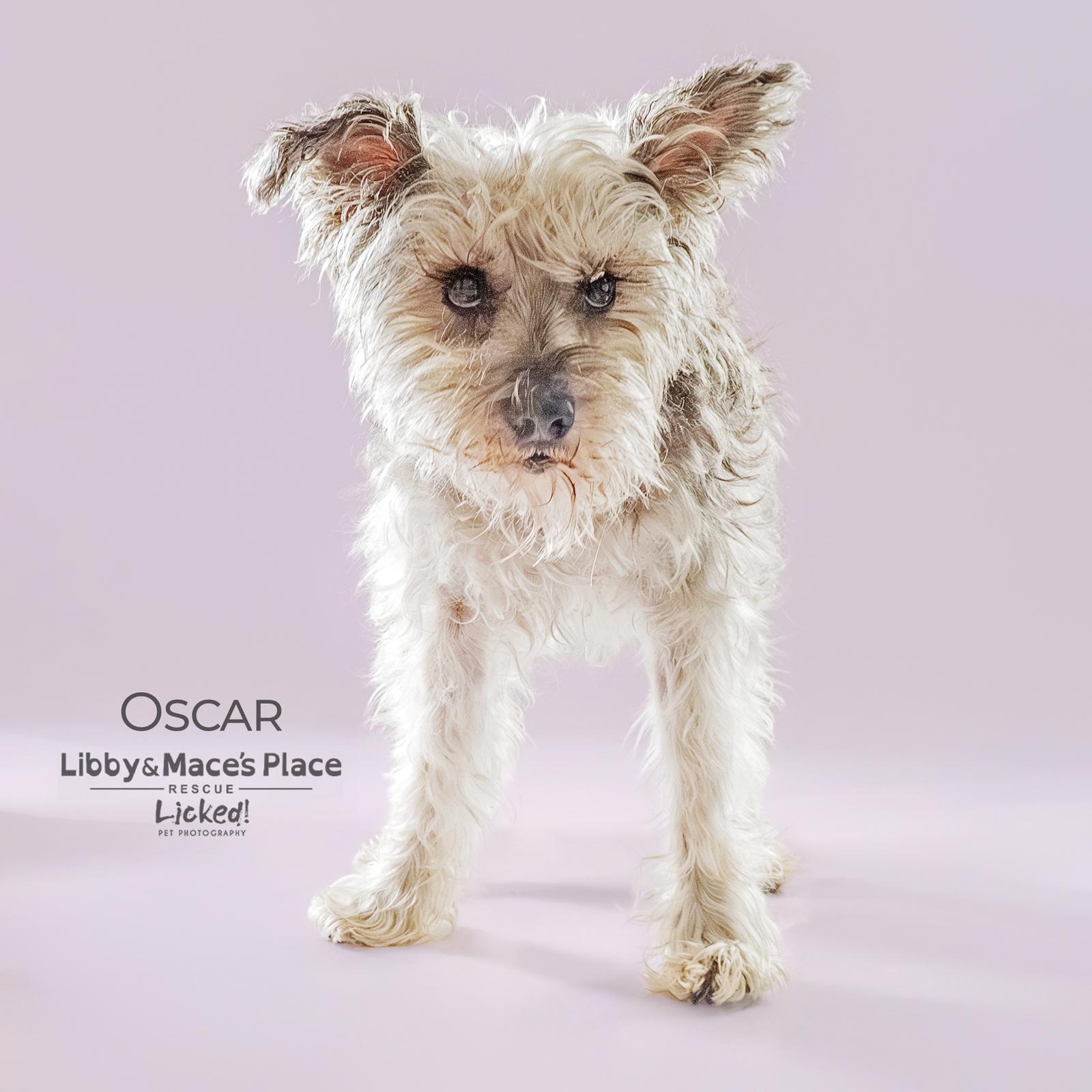 Oscar