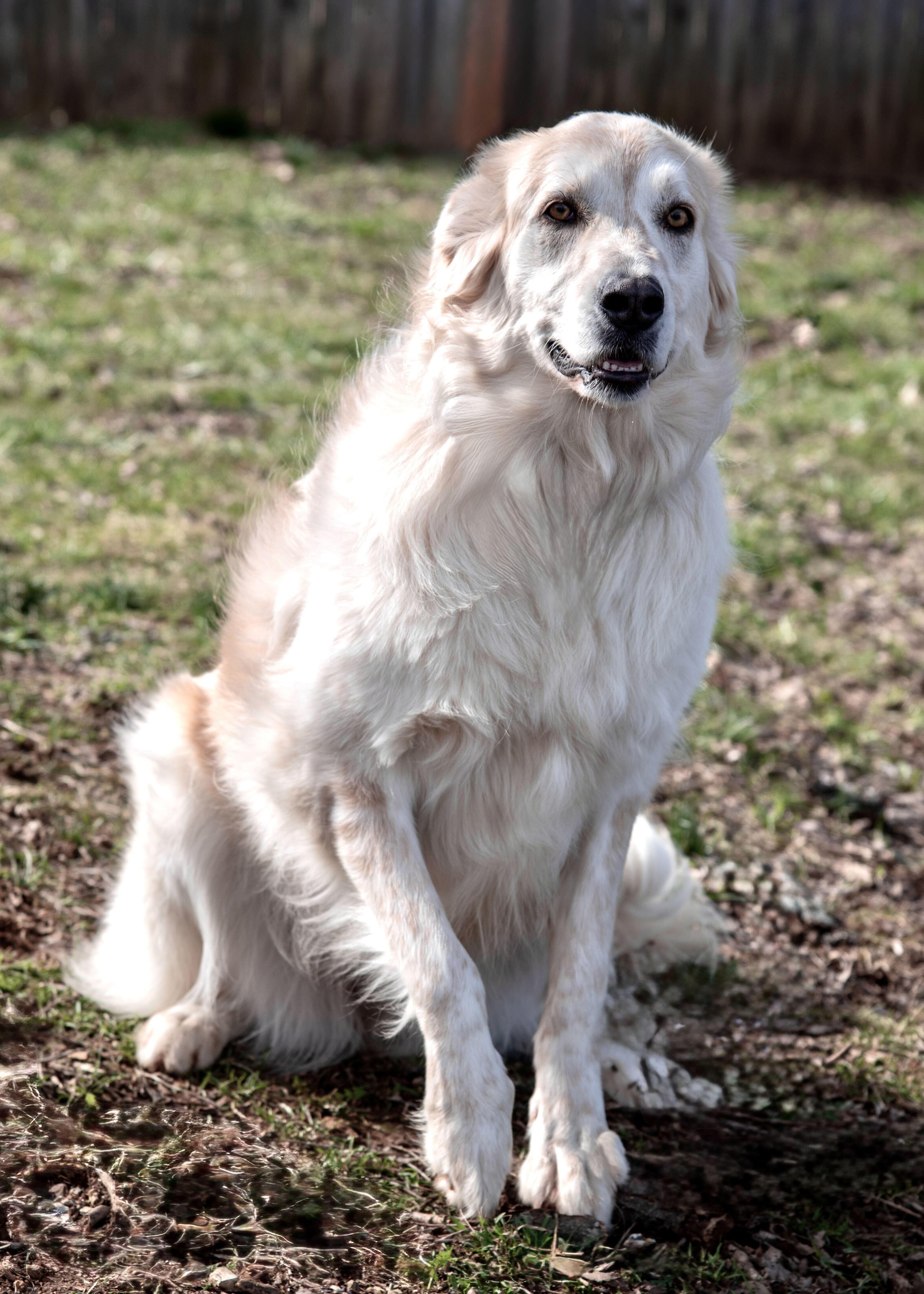 Sasha photo 3