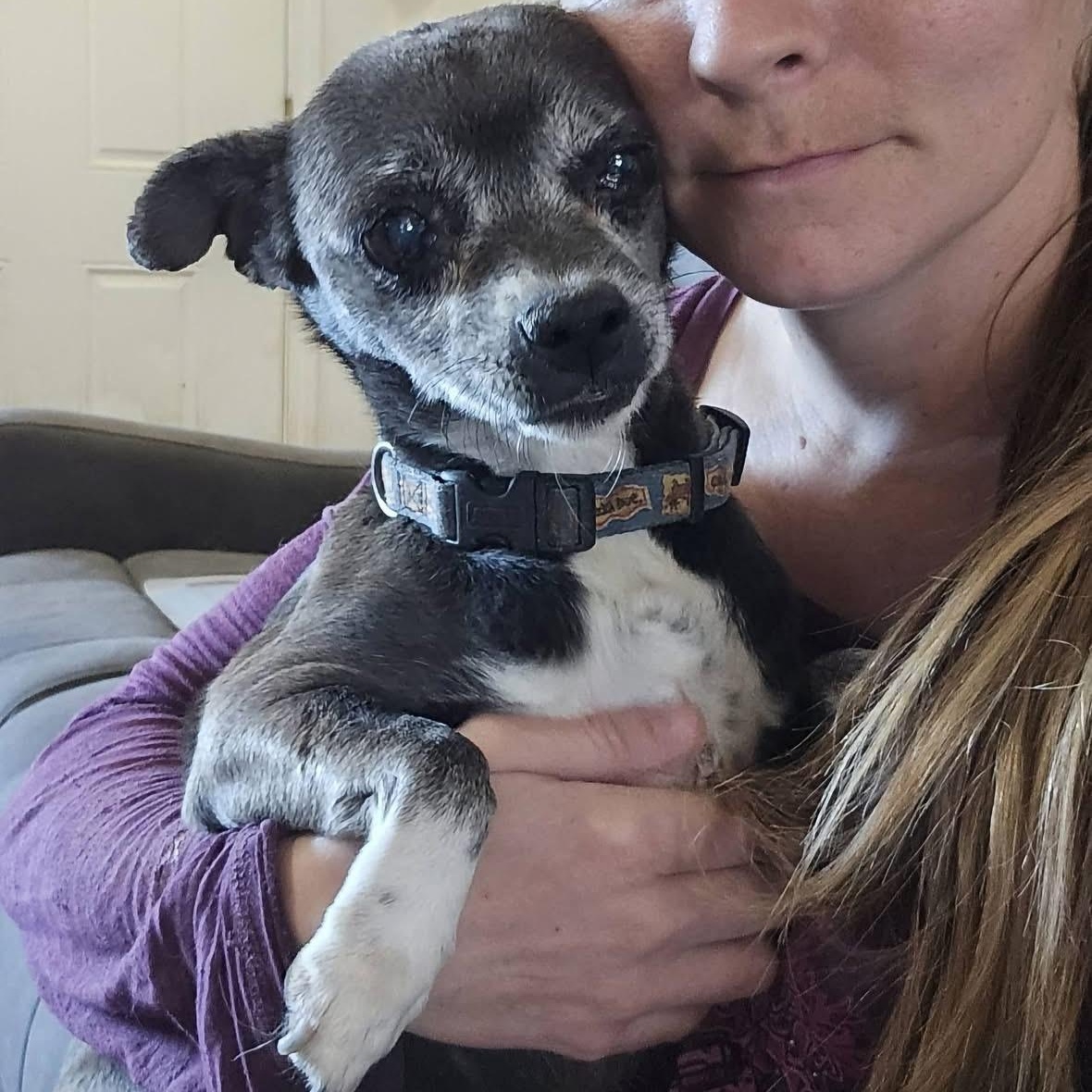 Enlarge Nelly, a Adoptable mixed breed in Pocatello, ID image 2/3