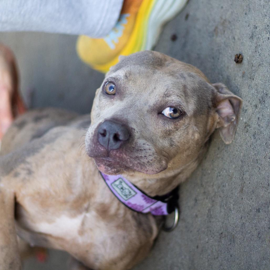 Juno Summer 21925 — thumbnail 4