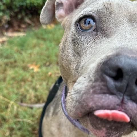 Juno Summer 21925 — thumbnail 6