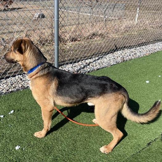 Ryder — thumbnail 6