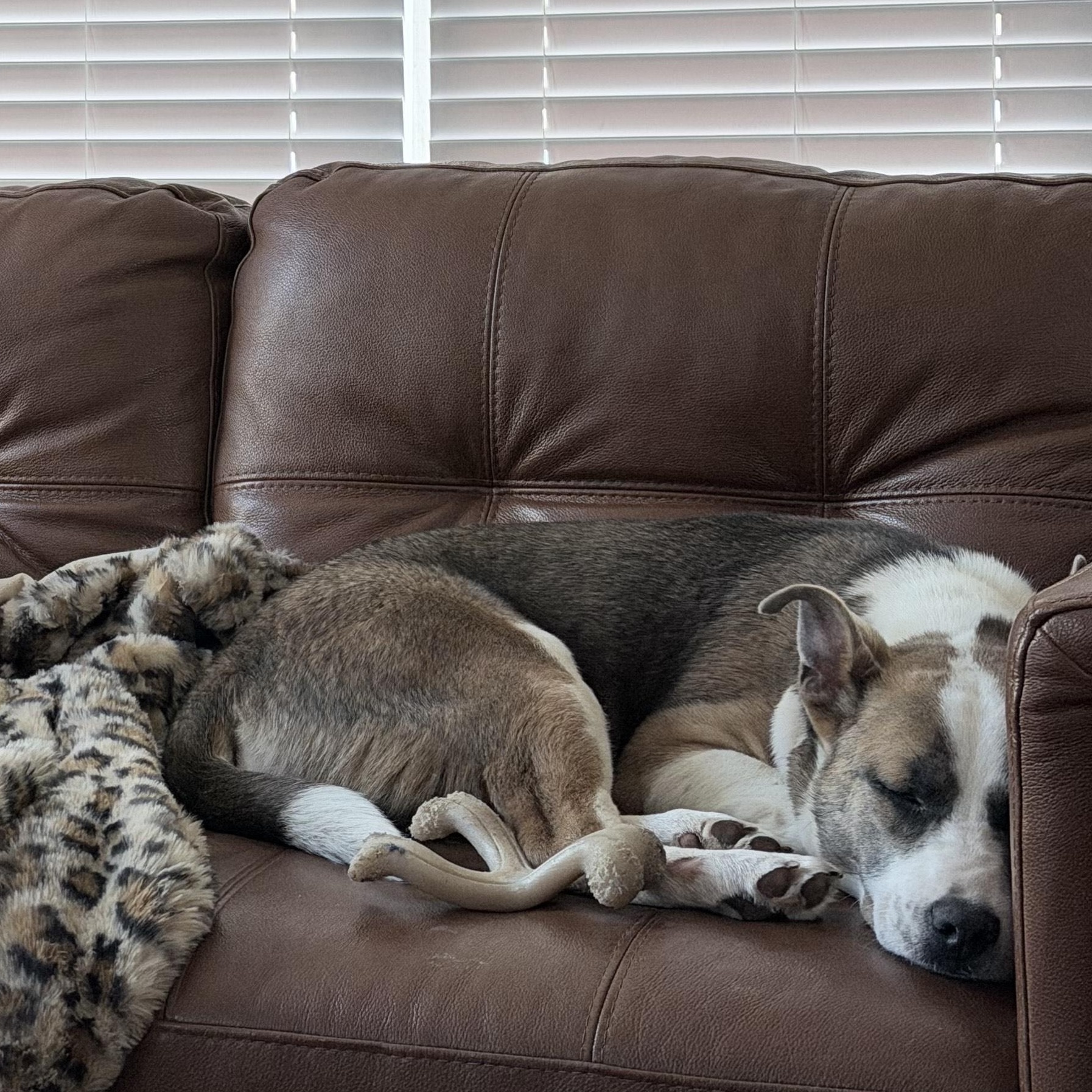 Klyxx — thumbnail 2