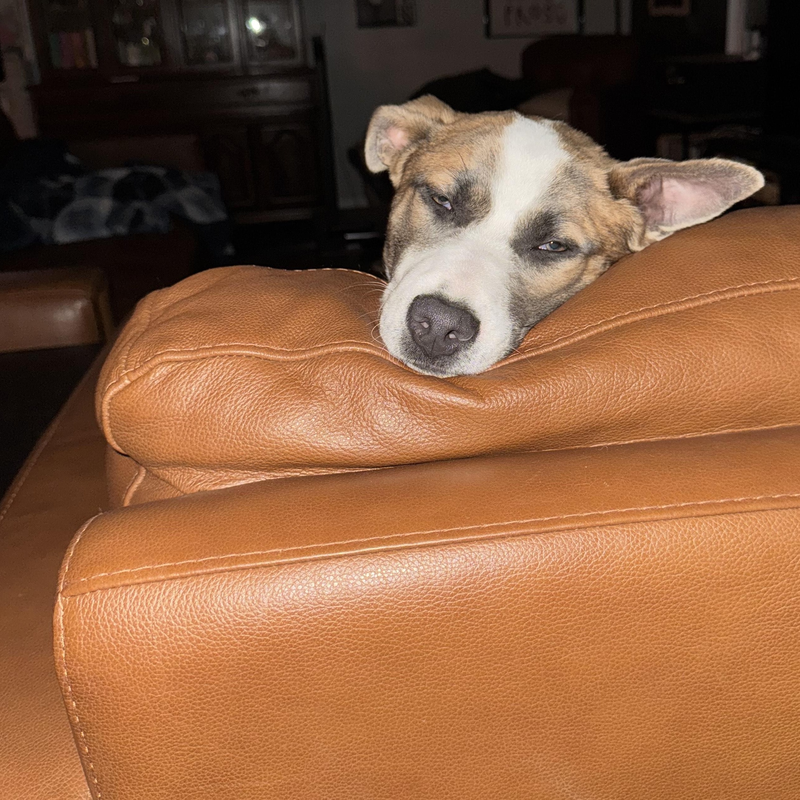 Klyxx — thumbnail 6