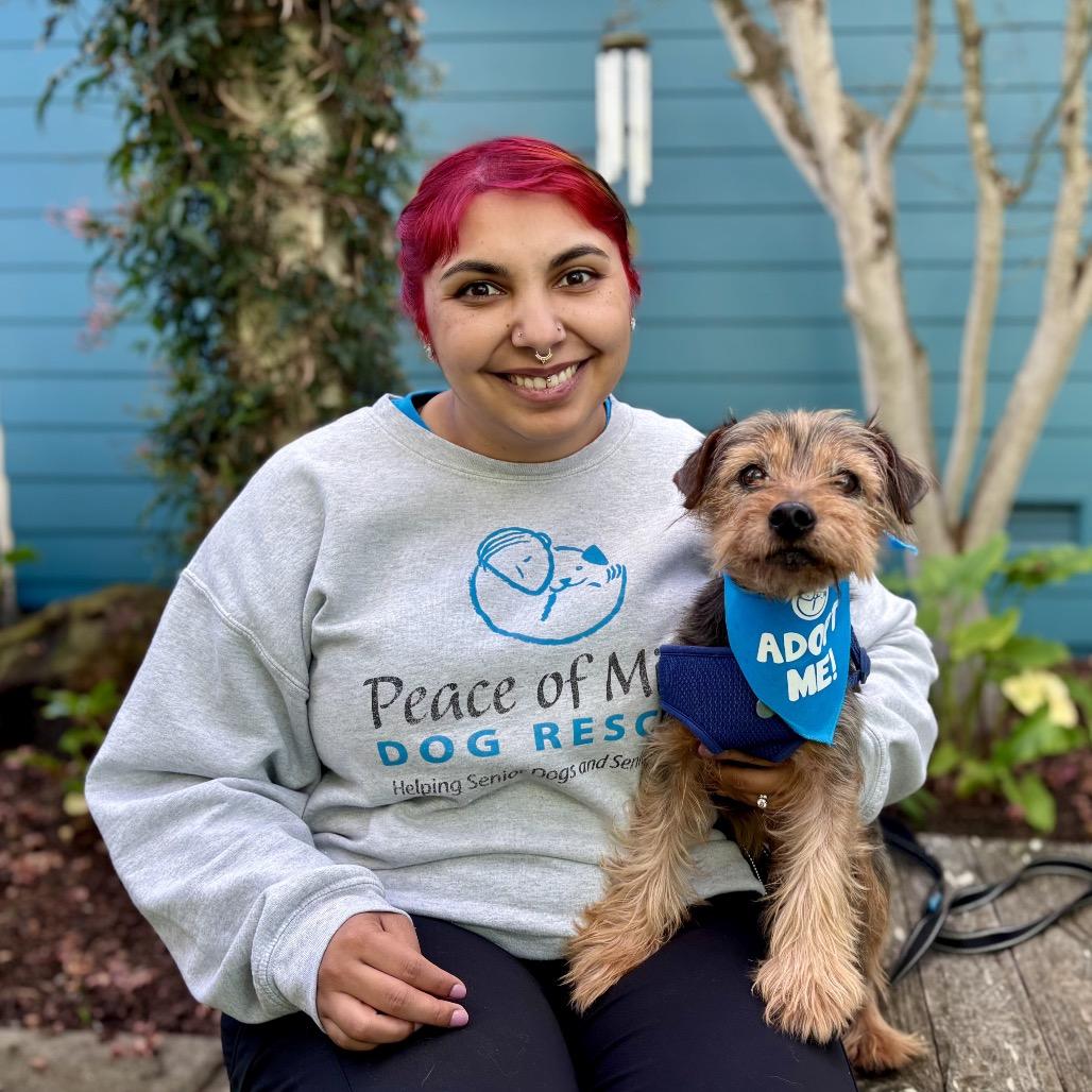 Steve Harrington thumbnail 2