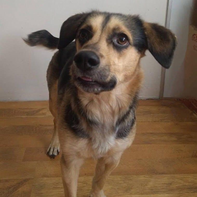 Runtsy