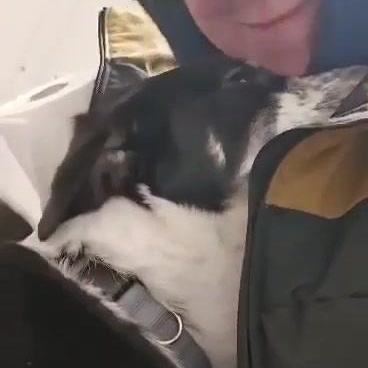 Zane (20260219-01) — thumbnail 5