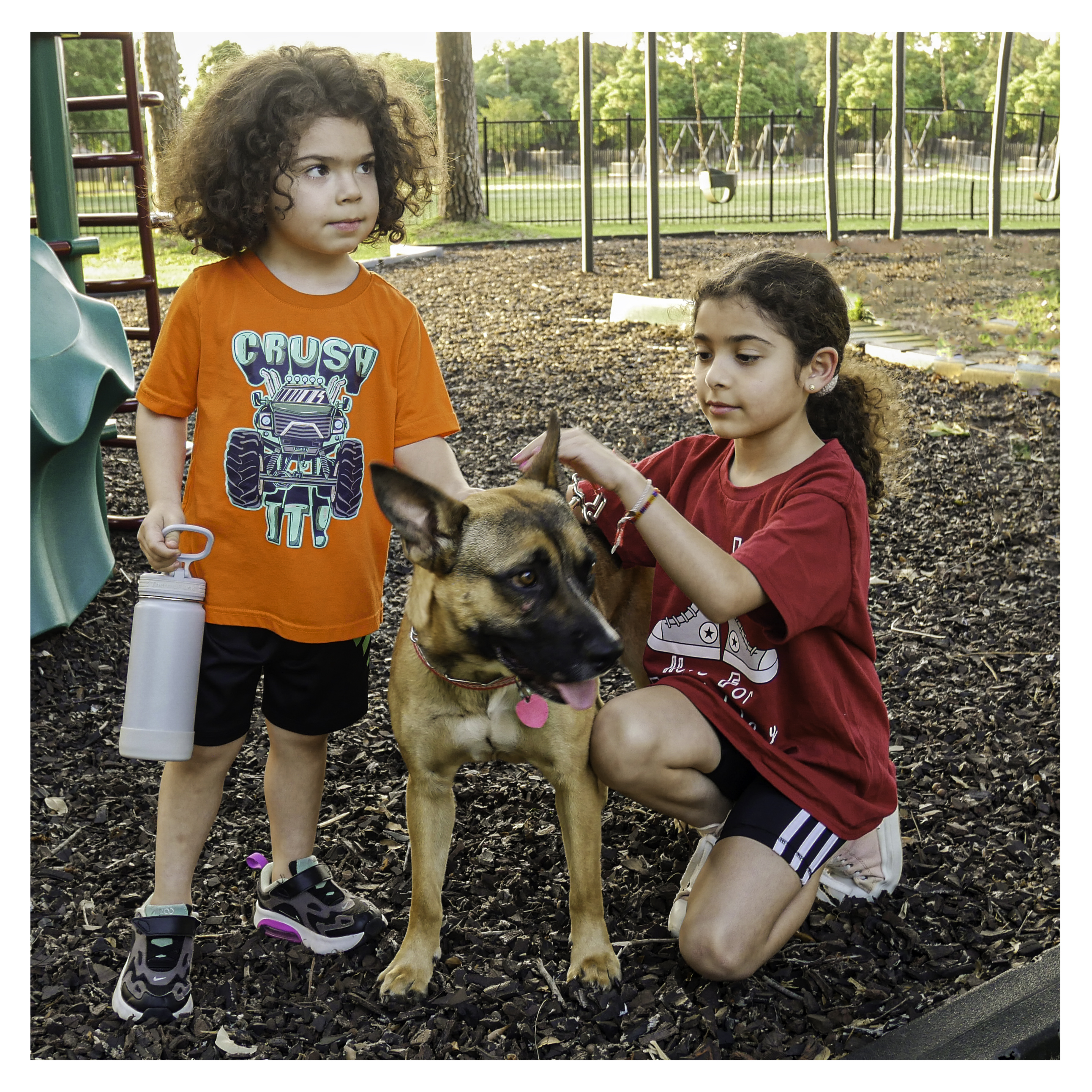 Enlarge Baby, a Adoptable mixed breed in Houston, TX image 4/4