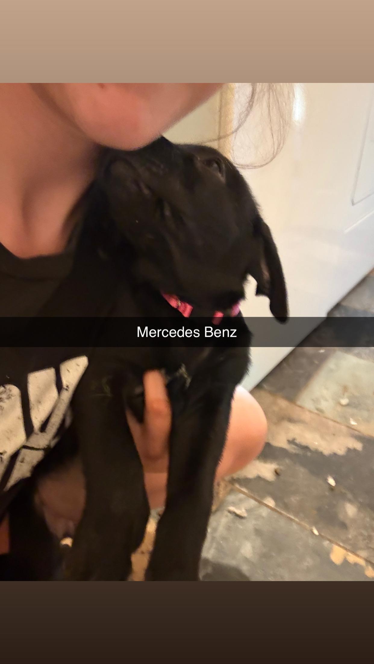 Mercedes Benz