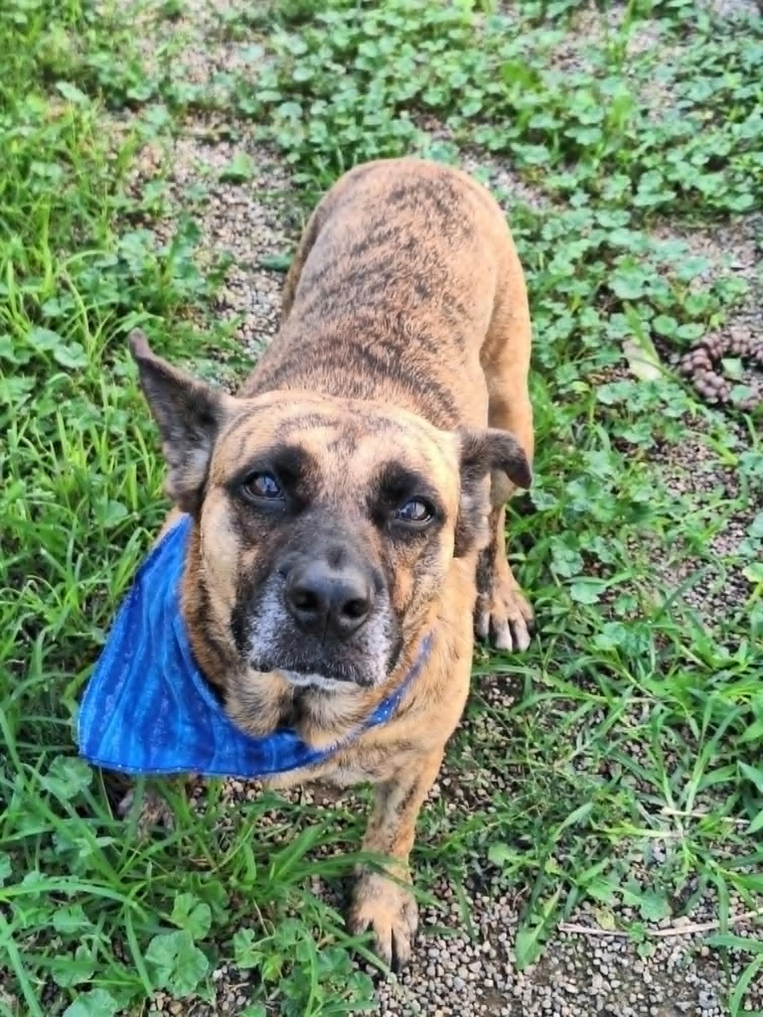 Catalina thumbnail 4