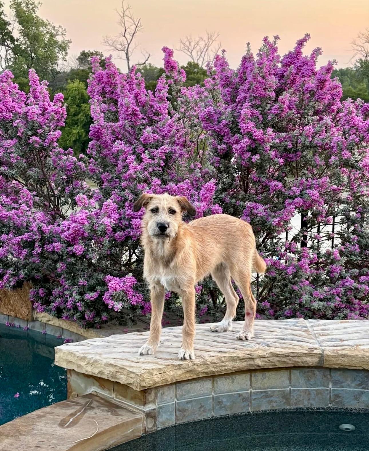 Maddie