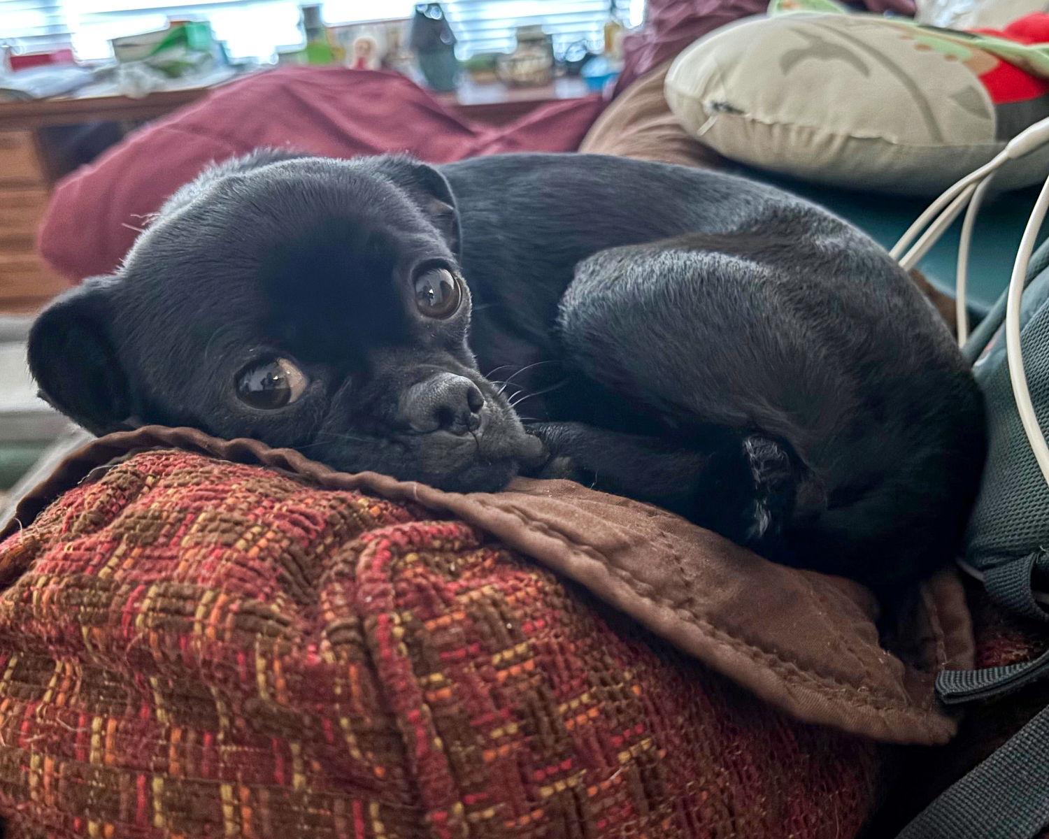 Mandy — thumbnail 2