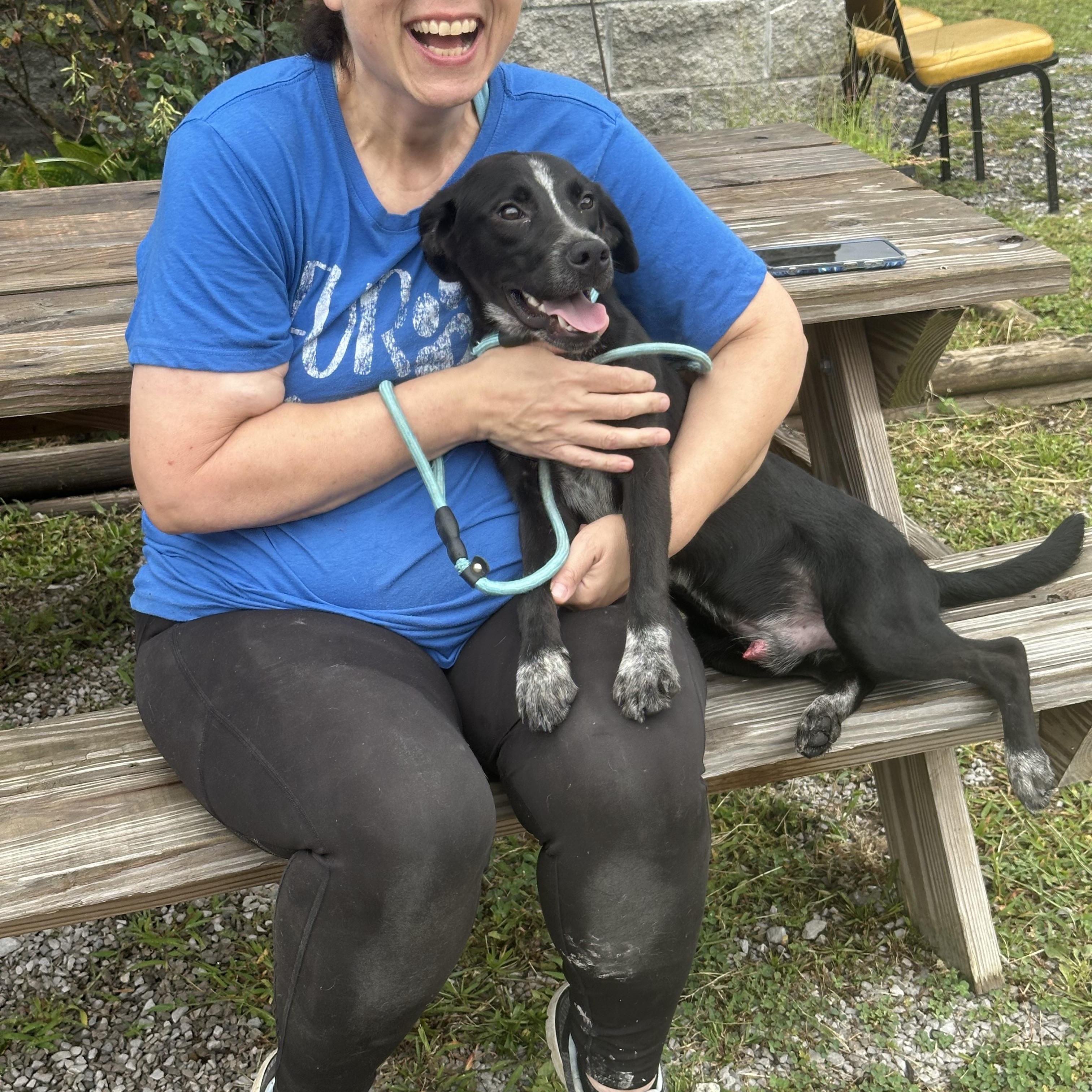 Enlarge Larry, a Adopted mixed breed in Naperville, IL image 6/6