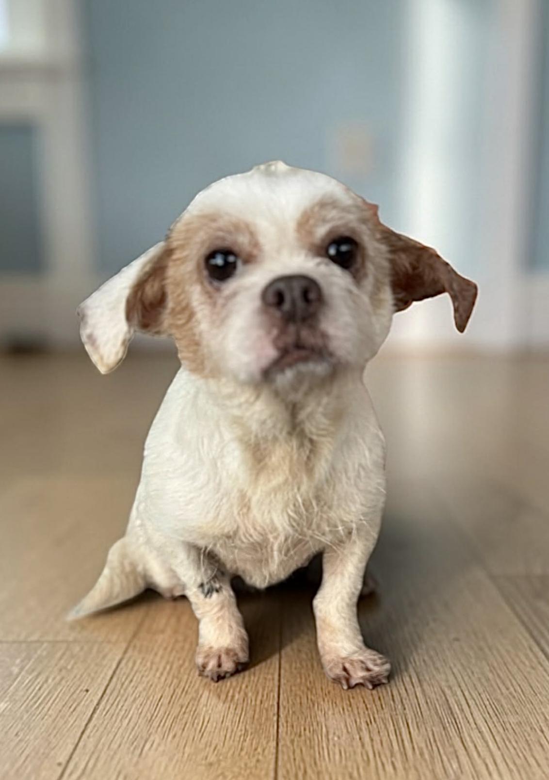 Shakira — thumbnail 3