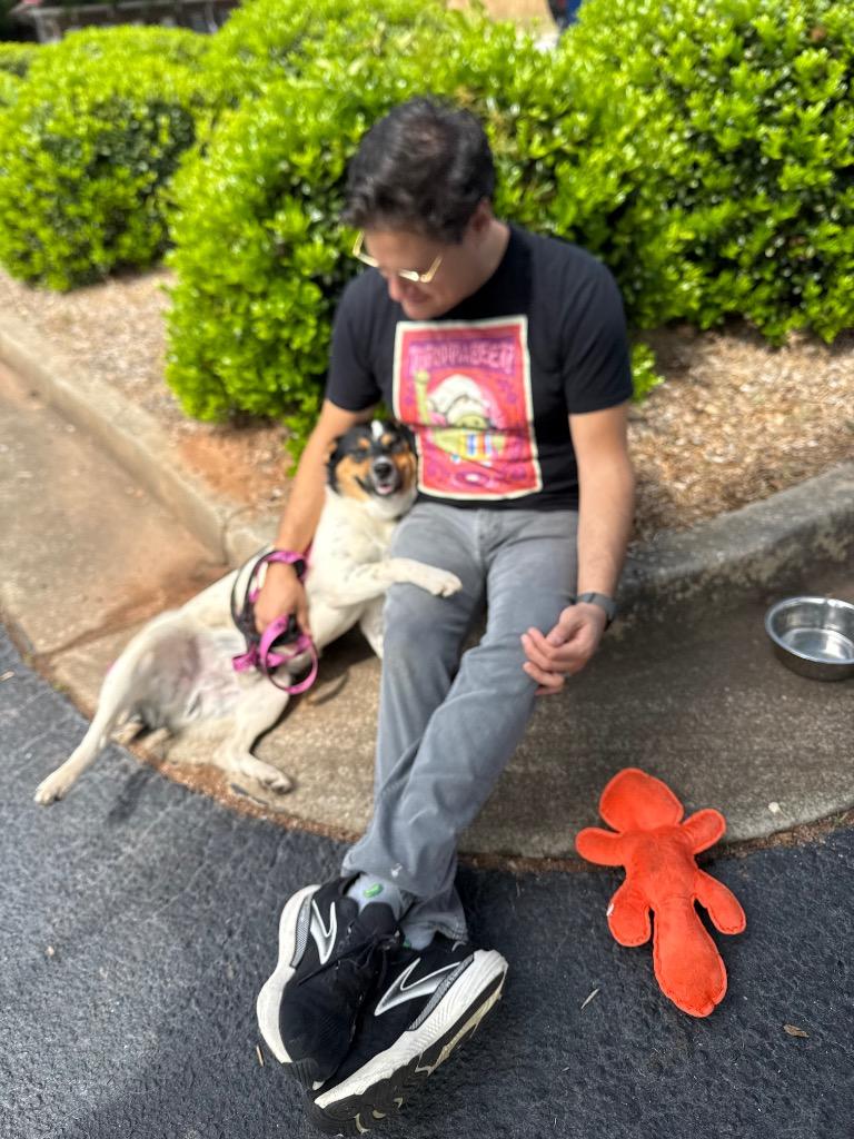 Enlarge Timmy, a Adoptable mixed breed in Newnan, GA image 4/5