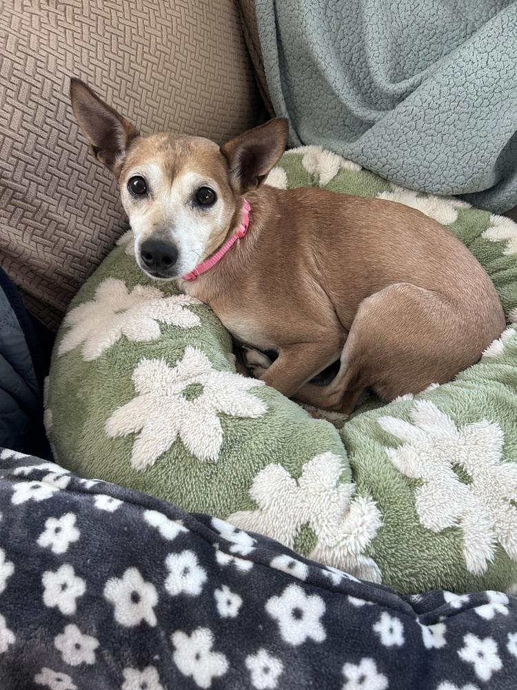 Marla — thumbnail 3